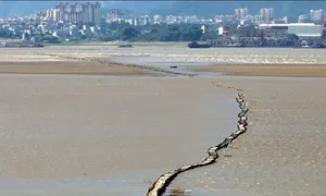 Cầu đá 400 tuổi lộ diện khi nước cạn